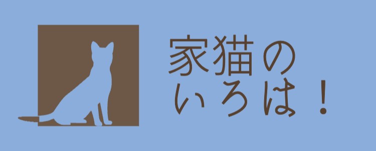 家猫ごろりん！